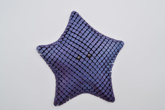 FlexStar – Matte PLA Fidget Starfish